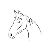 Outline head horse isolated on white background
