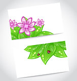 Set of eco friendly cards with green leaves