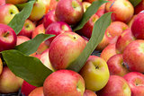 Apples on market stall