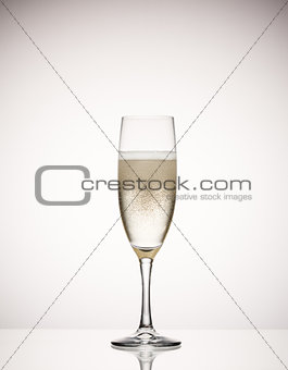 champagne glass