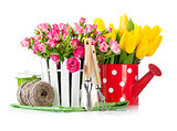 Roses and tulips with garden tools