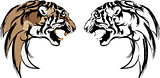 tiger heads