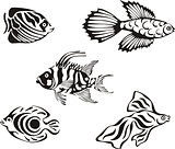 Set of black and white tropical fish
