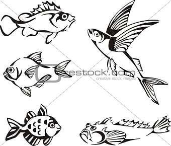 Set of black and white fish
