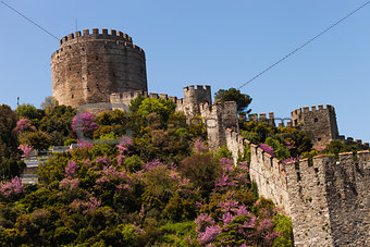 Rumelian Castle