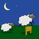Sheep jumping over fence