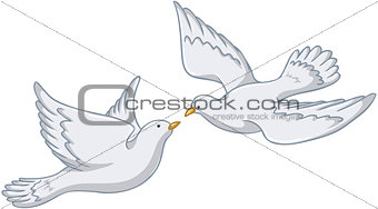 White Pigeons Flying Together