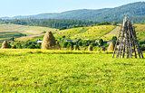 Summer mountain rural view with haystacks (Carpathian, Ukraine)