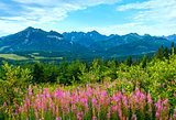 Summer morning mountain landscape with pink flowers  (Poland)