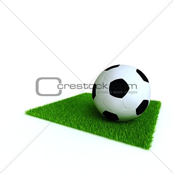 soccer ball on a lawn from a green bright grass on a white background