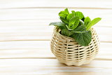bunch of fresh green mint on white wooden table
