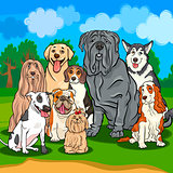 purebred dogs cartoon illustration