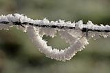 Barbed wire with frost