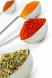Spices in measuring spoons