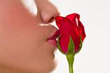 kissing a red rose