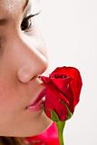 kissing a red rose
