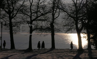 Winter walk by the lake