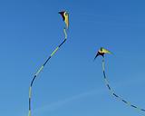 Two stunt-kites