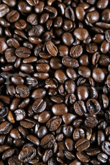 Espresso Coffee Beans
