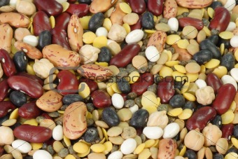 Colurful Beans