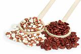Red and white Beans on a cooking spoon