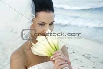 Caribbean Beach Wedding