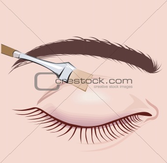 Make-Up Brush