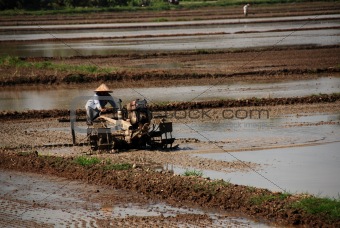 farmer, plough machine and paddy field at the countryside