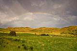 Rainbow above the meadow