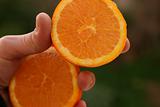 Holding an orange