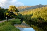 Kauai Mountains Mirrored in River