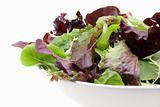 Mixed organic salad greens