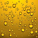golden liquid drops