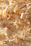 Wooden shavings on wood surface