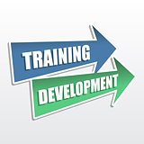 training development in arrows, flat design