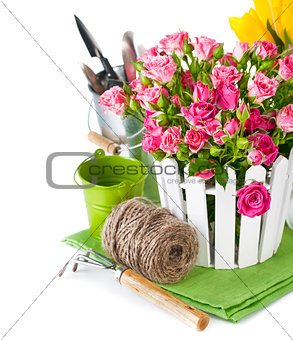 Pink roses and tulips with garden tools
