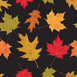 Colorful Tileable Autumn Leaves Illustration