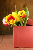 spring tulips flowers on a wooden background