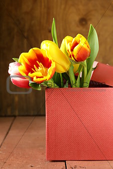spring tulips flowers on a wooden background