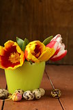 Easter still life with spring flowers tulips and quail eggs on a wooden background