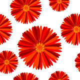 Floral seamless pattern with red flowers