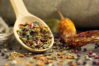 Spices in the spoon with chilli