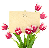 Beautiful Tulips and Empty Sign for text / wooden panel / isolat