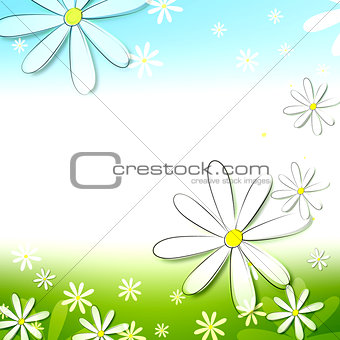 spring white flowers in blue green background