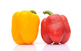 sweet yellow and red peppers isolated on white background