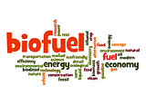 Biofuel word cloud