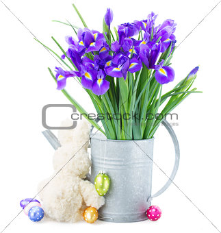 bunch of blue irise flowers in watering can