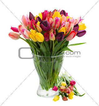 bunch of fresh tulips in vase