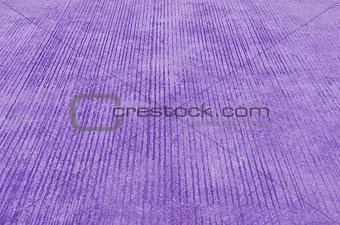 violet cement