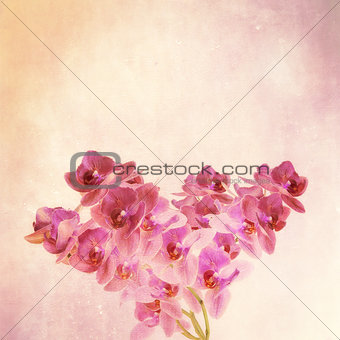texorchidtured old paper background with  magenta phalaenopsis